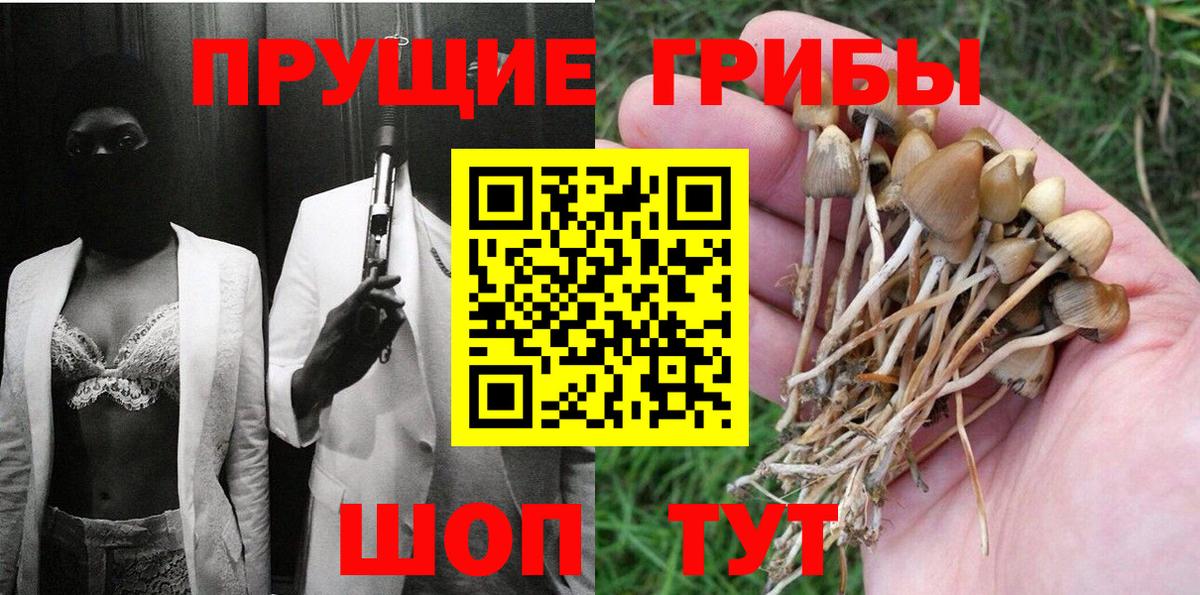 Псилоцибиновые грибы Psilocybe  Вход с VPN  Галлюциногенные грибы мухоморы  Славянск-на-Кубани 