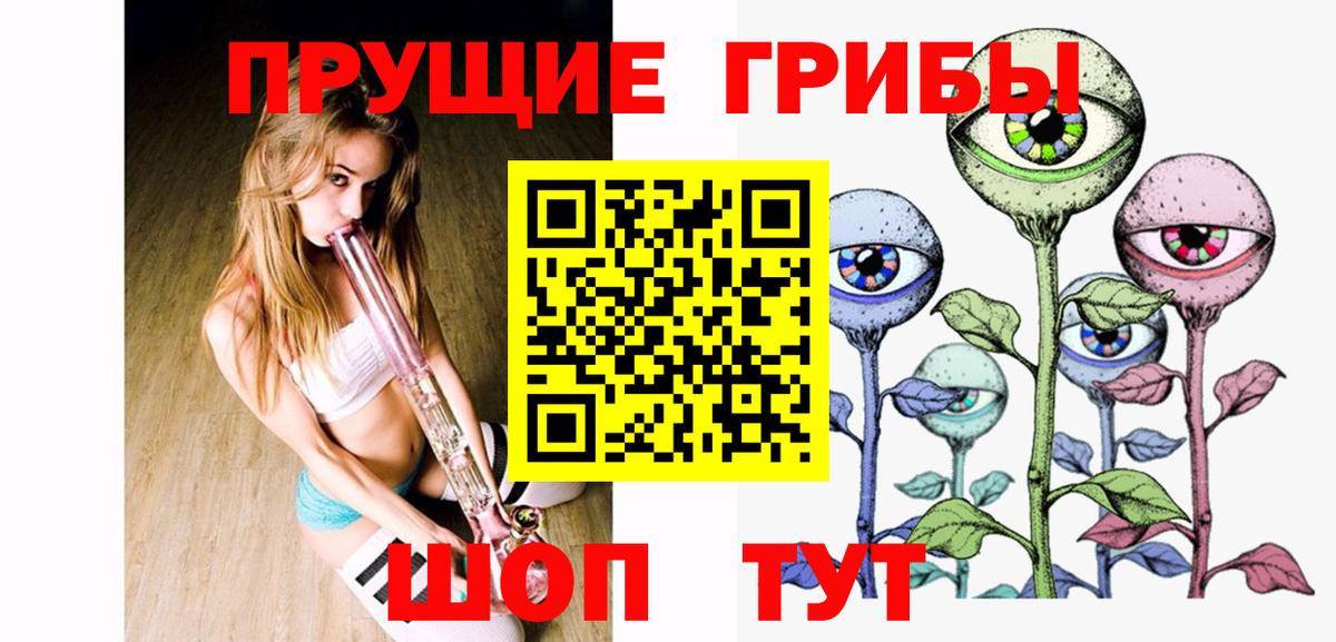 Галлюциногенные грибы Psilocybe Славянск-на-Кубани